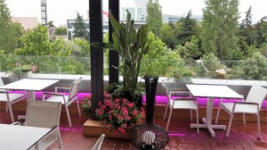 restorant5